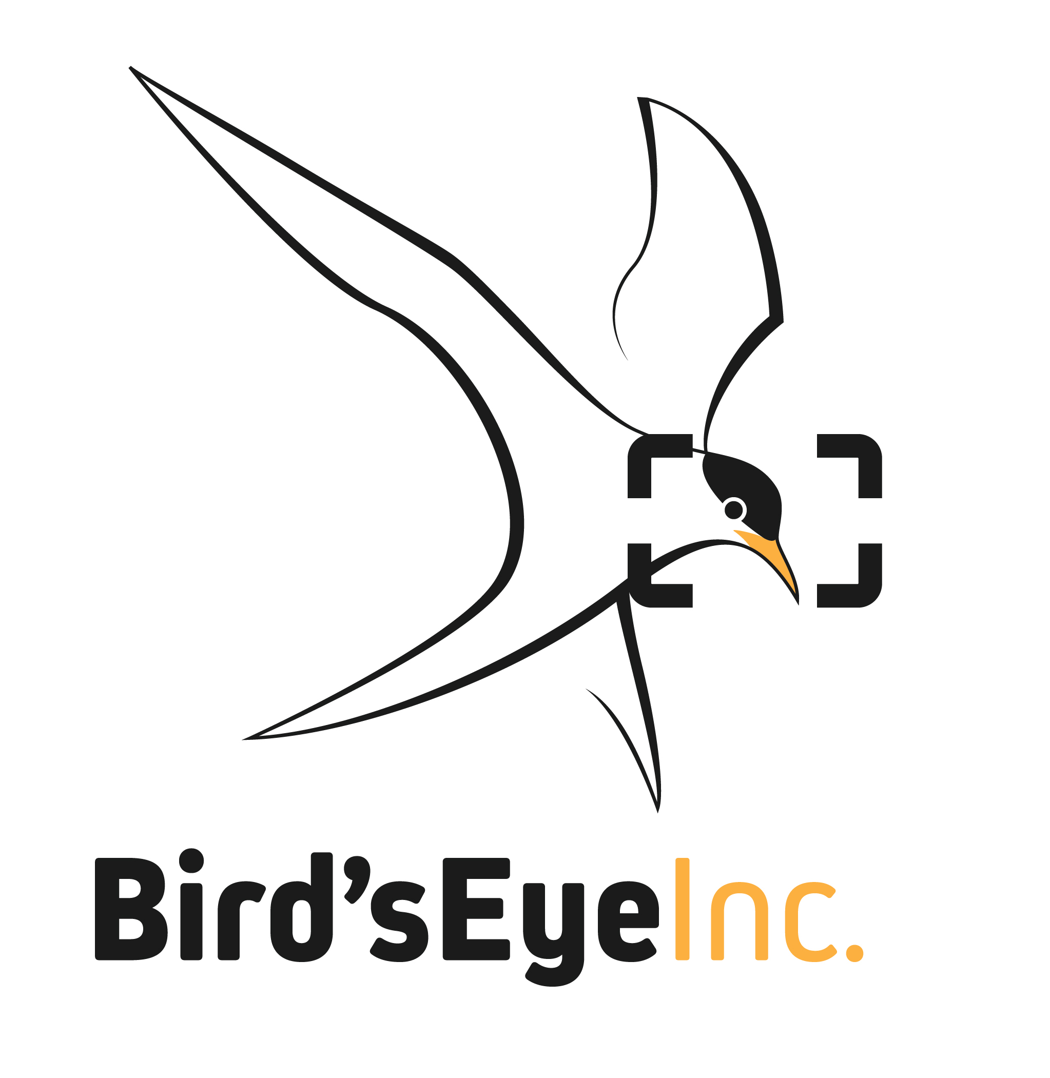 Bird&#039;s Eye Inc Logo